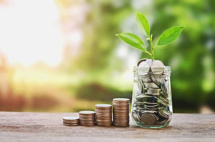 Plant-Growing-Coins in Cary